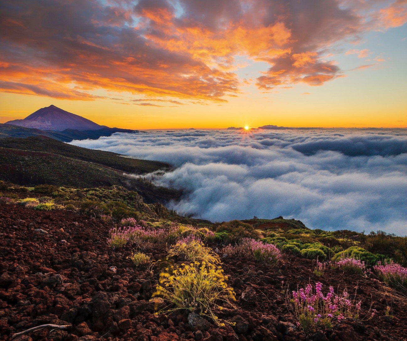 Experiences on Mount Teide - stars, hiking trails and Martian landscapes
