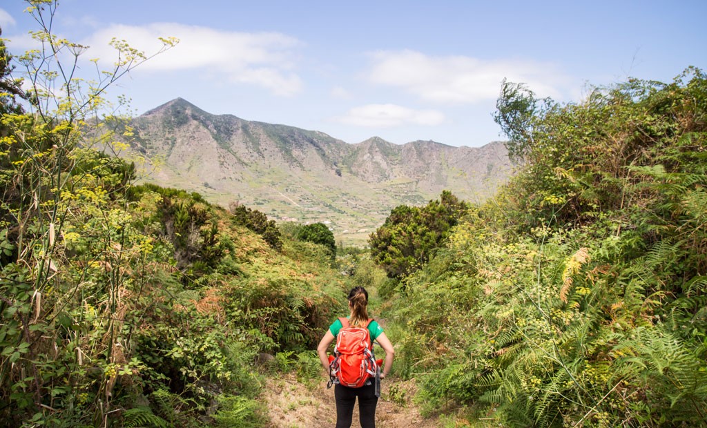 Hiking for beginners in Tenerife – quick guide