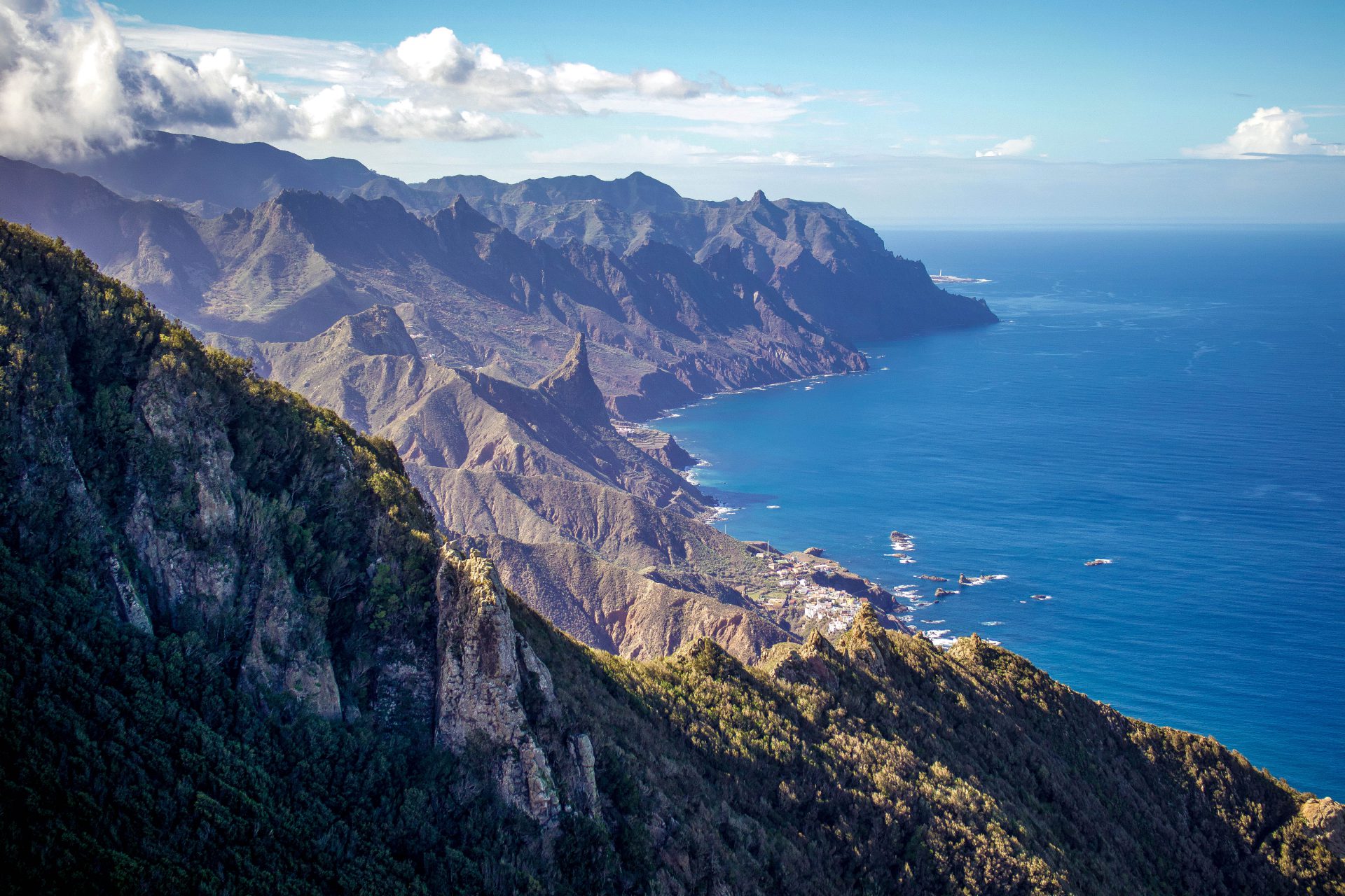 Tenerife in spring, an explosion of life and colour - Tenerife! awakens ...