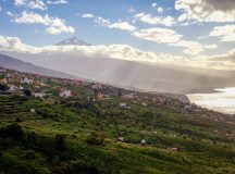 WINES OF TENERIFE – A TASTY WALK ROUND THE ISLAND