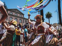 Tenerife’s roots have a lot to tell