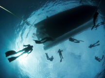 Apnea. Training of freedivers in the sea. Tenerife, Canary Islands.