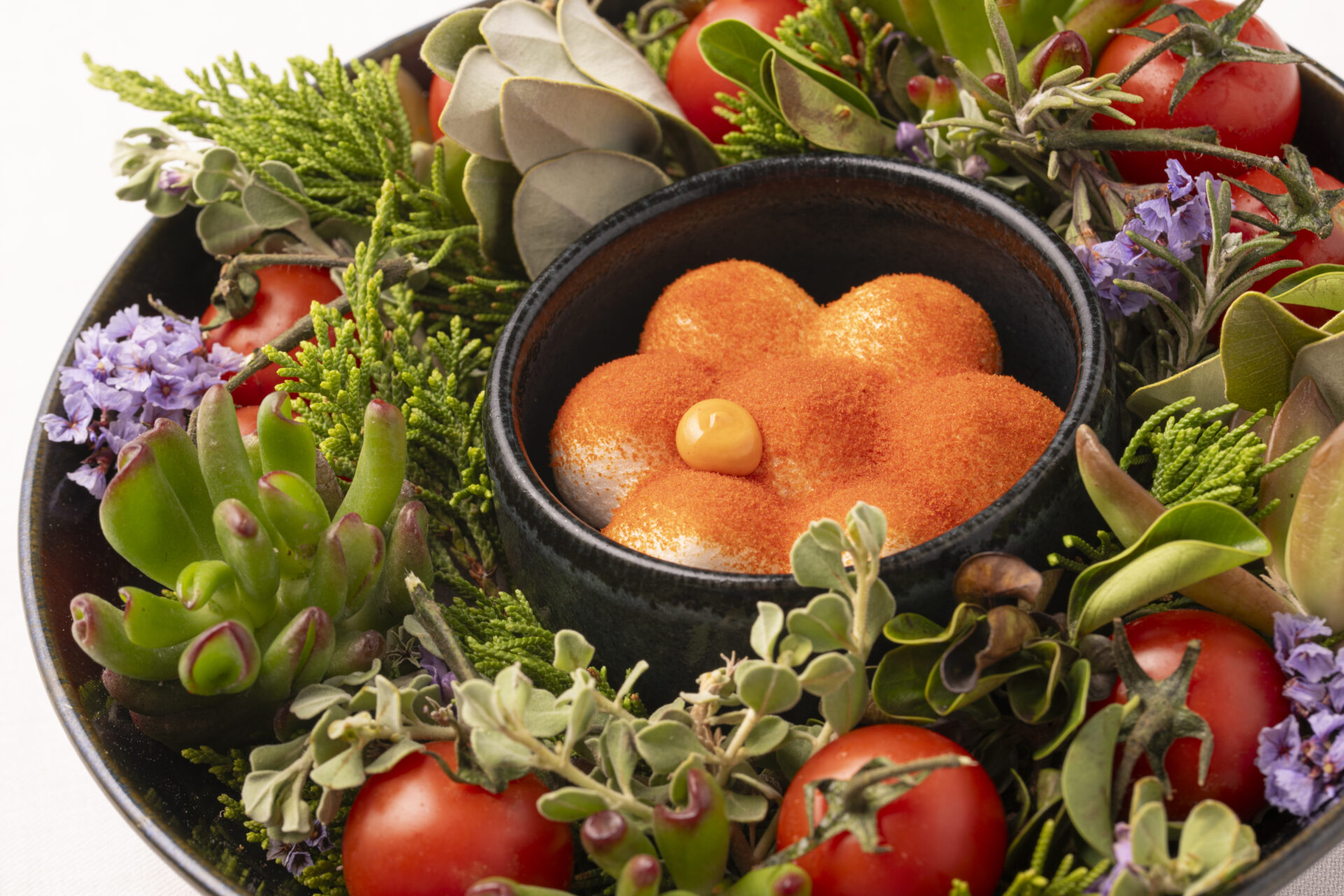 The paradise of Michelin stars