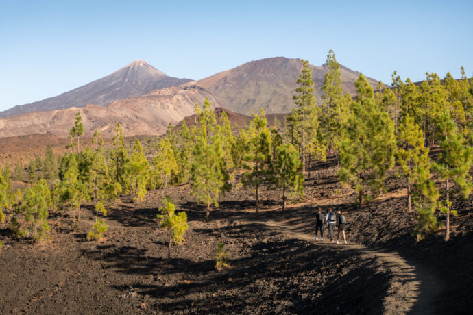 Adventure for Everyone: A Guide to Easy and Accessible Sports in Tenerife